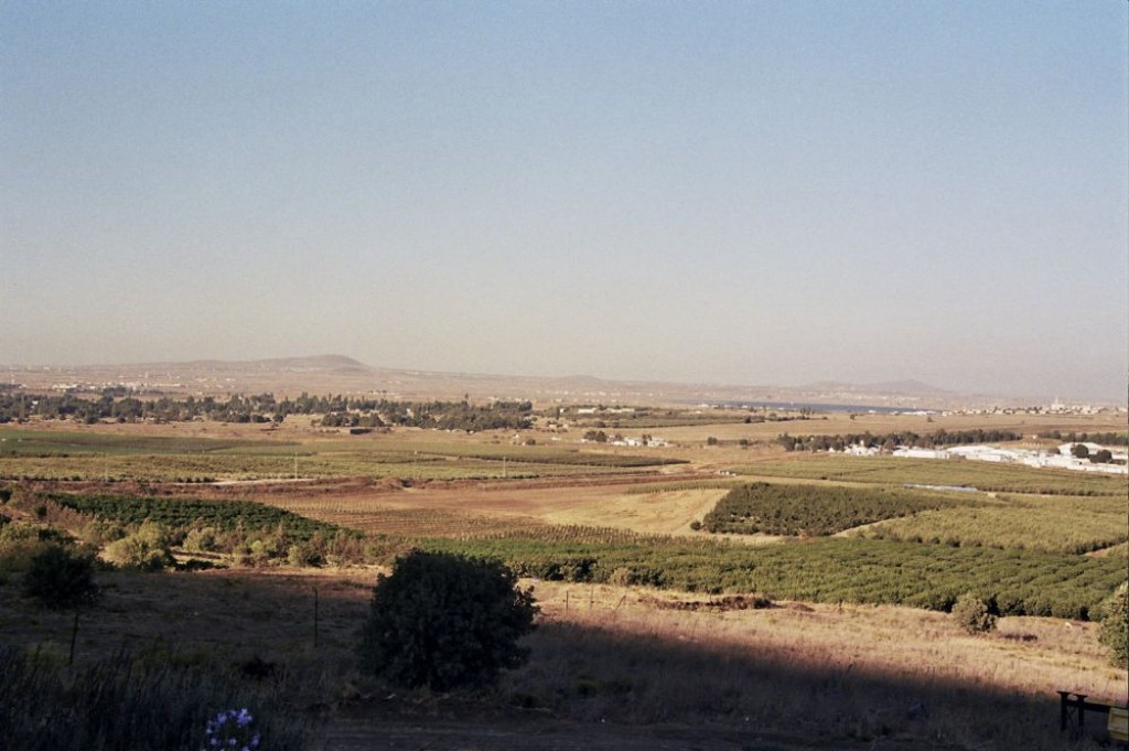 We toured the Golan Heights by car. The roads are great, and the scenery is very pretty.